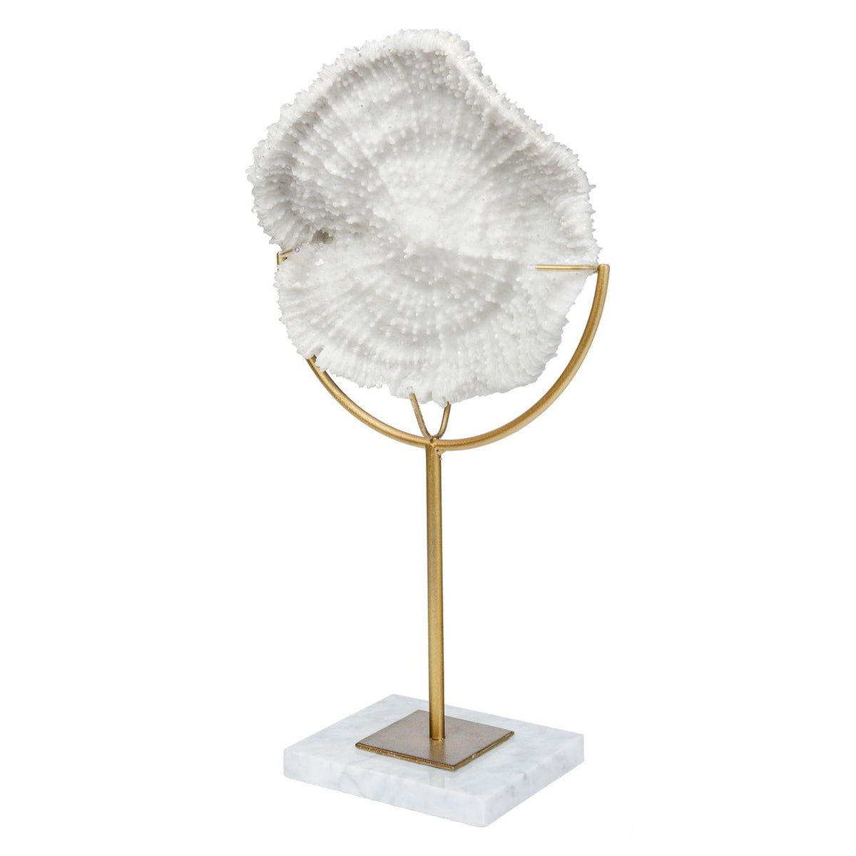 Mercana Sandy Small White Coastal Sand Dollar Object, primary product view