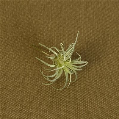 Faux Tillandsia Set of 2