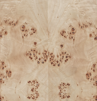 Co. House Designs Wesley Light Burl Cabinet