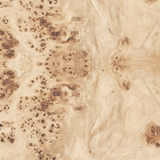 Co. House Designs Wesley Light Burl Side Table