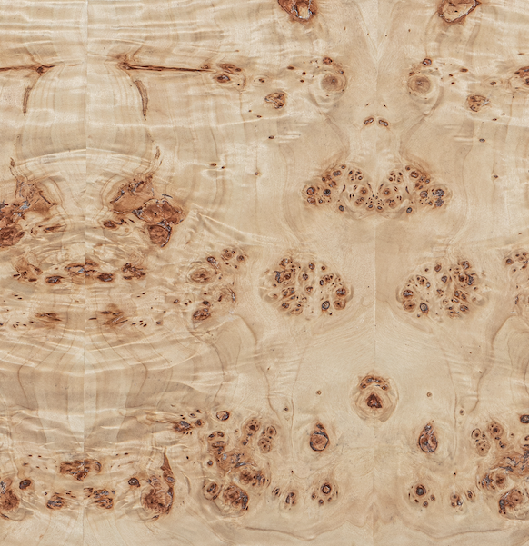 Co. House Designs Wesley Light Burl Desk