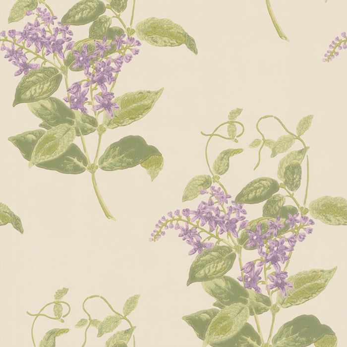 Cole & Son Anthology Madras Violet Wallpaper