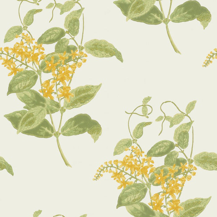 Cole & Son Anthology Madras Violet Wallpaper