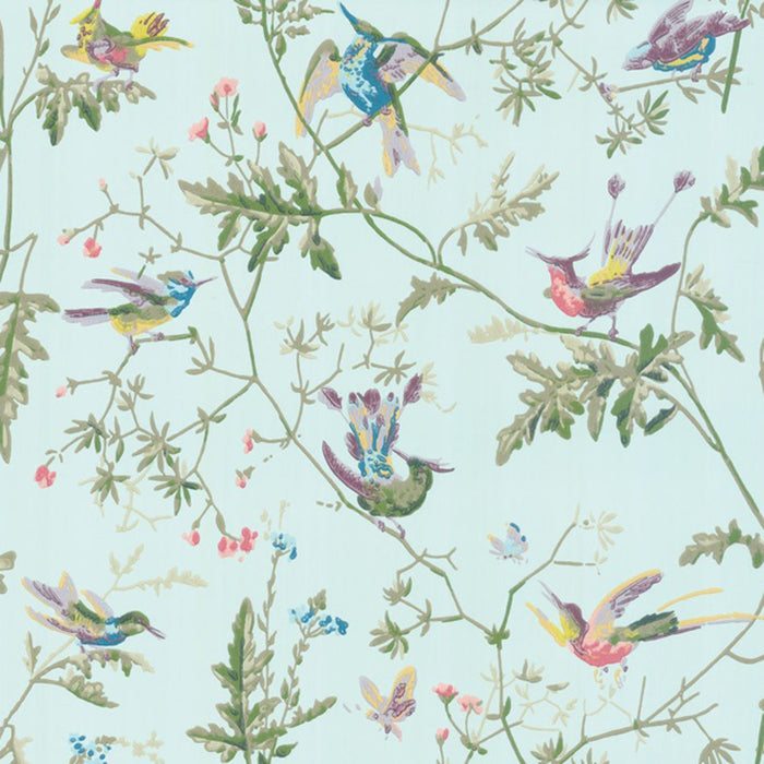 Cole & Son Selection of Hummingbirds Wallpaper