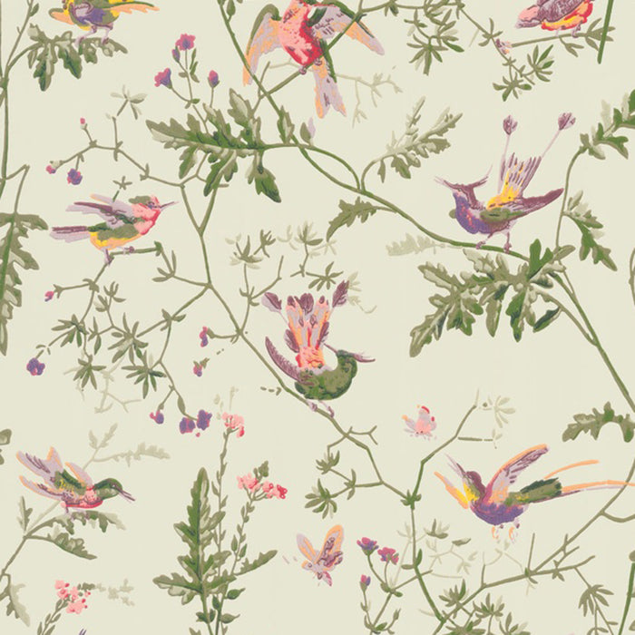 Cole & Son Selection of Hummingbirds Wallpaper