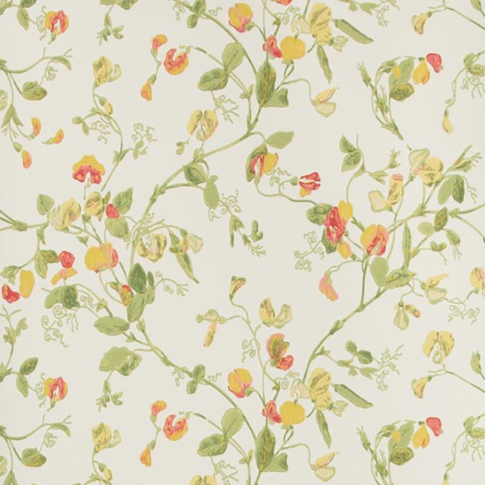 Cole & Son Anthology Sweet Pea Wallpaper