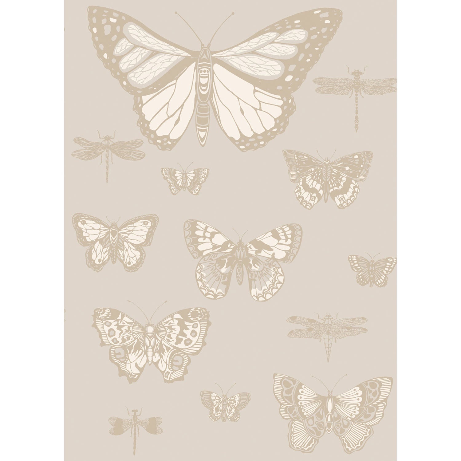 Cole & Son Whimsical Butterflies & Dragonflies Wallpaper