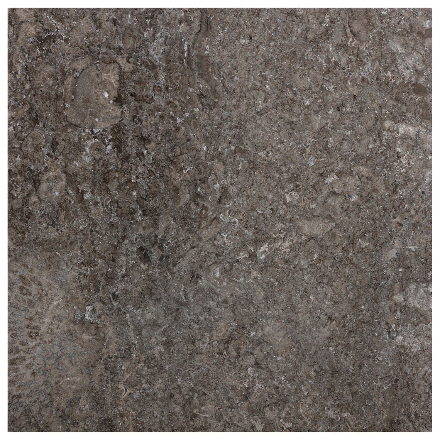 Sunpan Arden End Table Set of 2