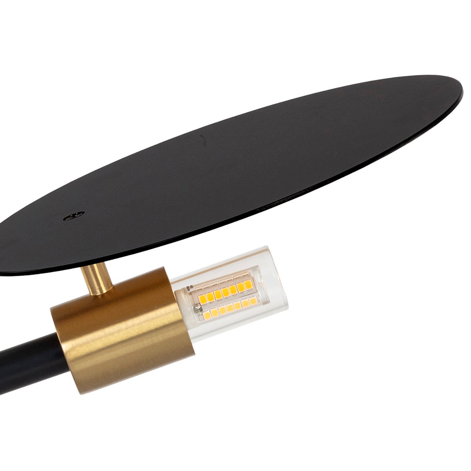 Sunpan Neela Table Lamp