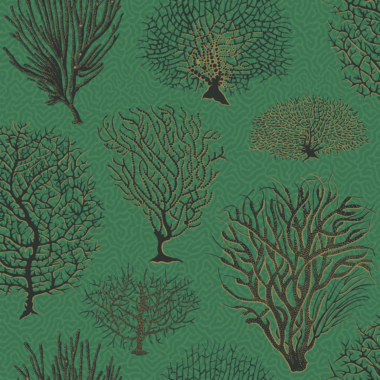 Cole & Son Curio Seafern Wallpaper
