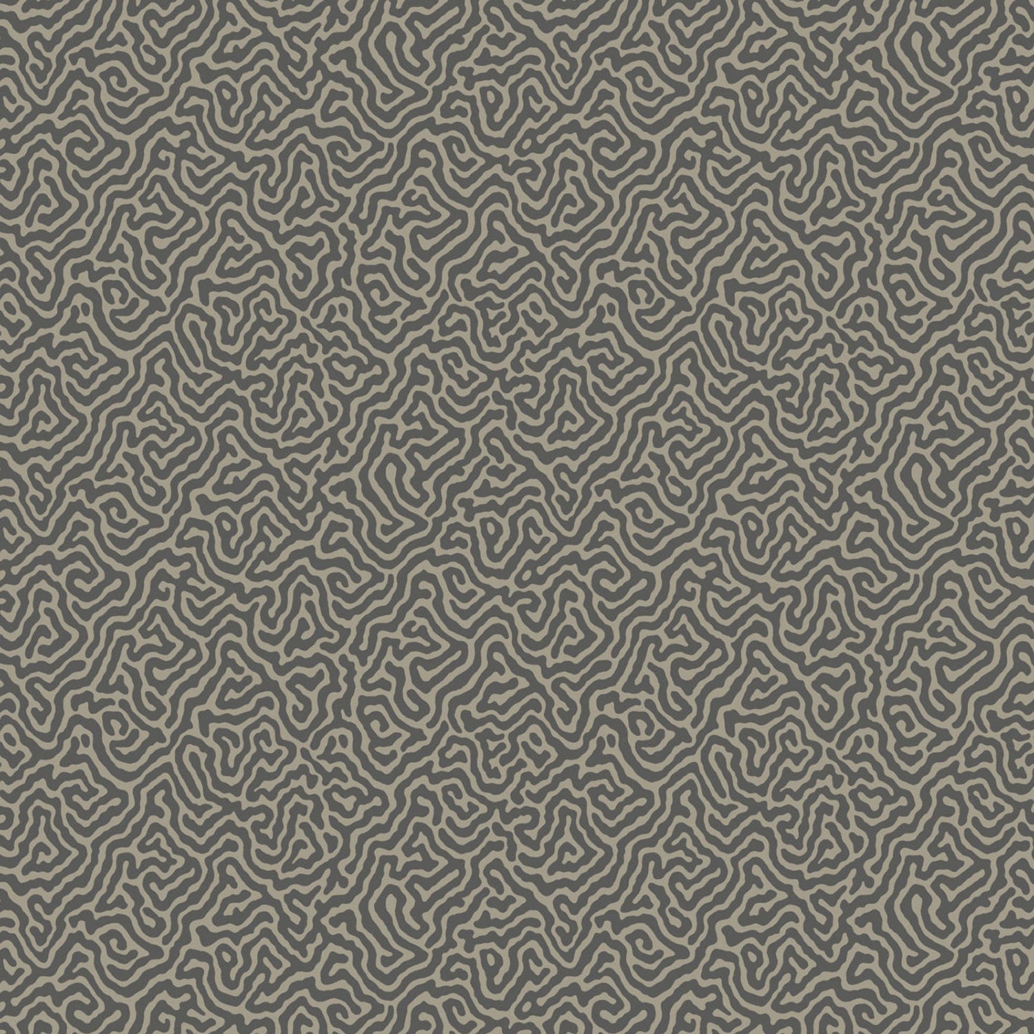 Cole & Son Curio Vermicelli Wallpaper