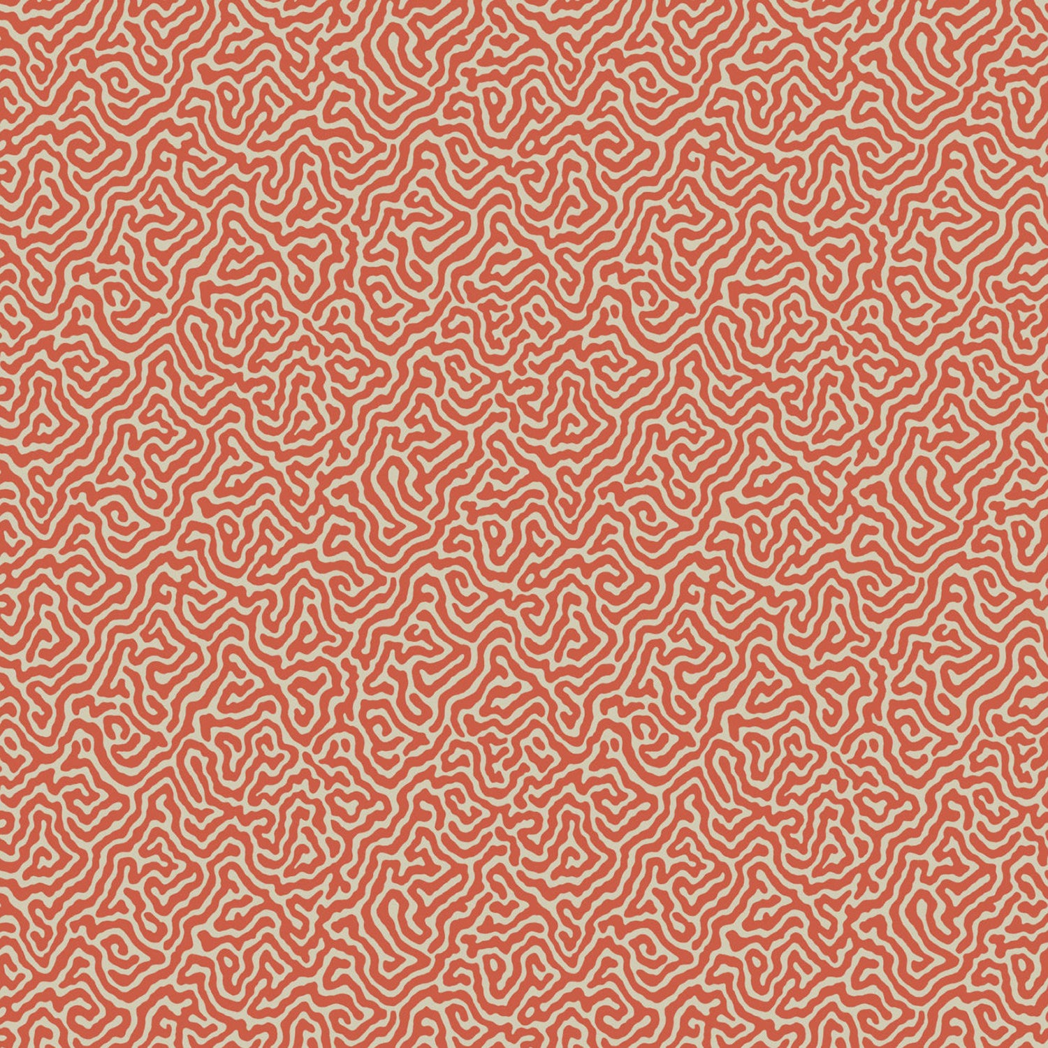 Cole & Son Curio Vermicelli Wallpaper