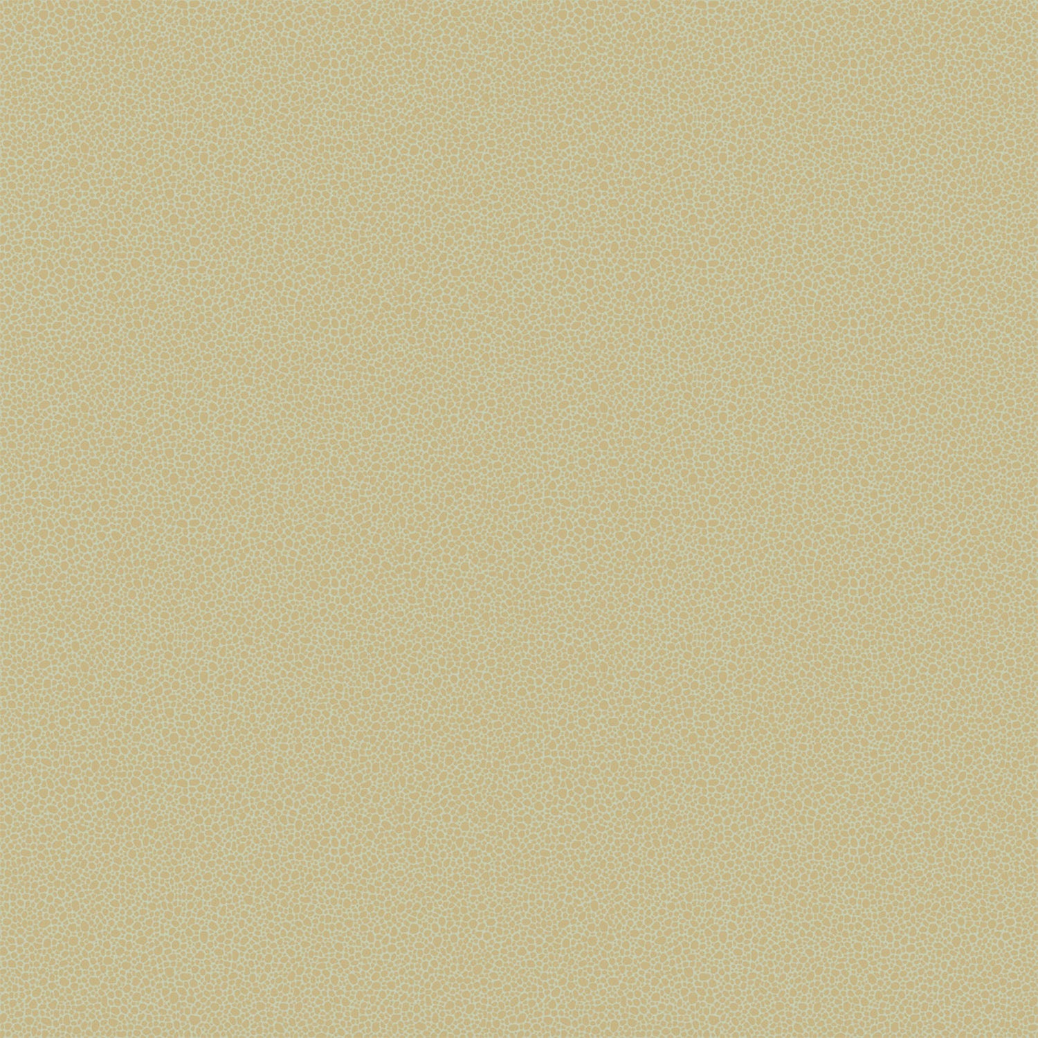 Cole & Son Curio Goldstone Wallpaper