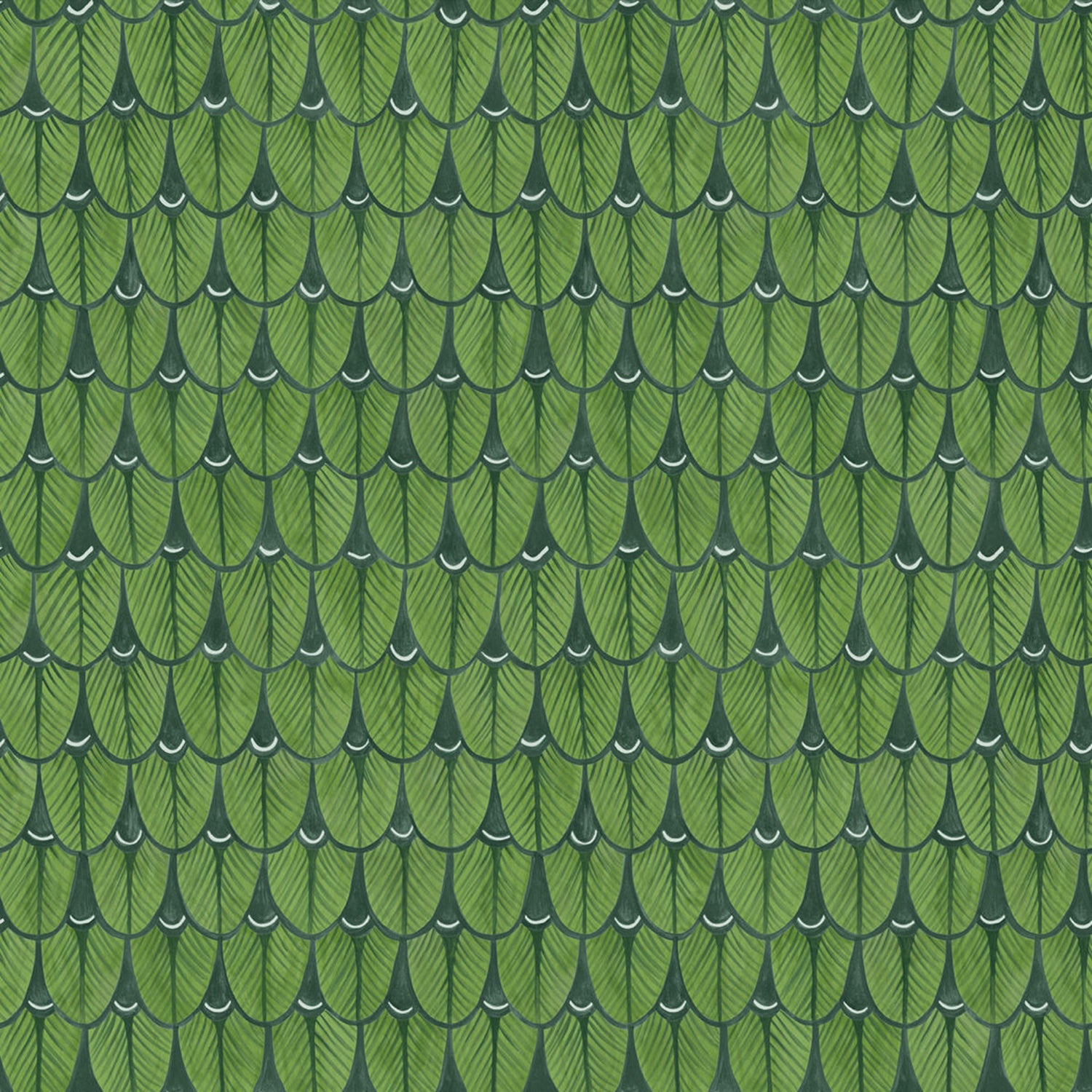 Cole & Son Ardmore Narina Wallpaper