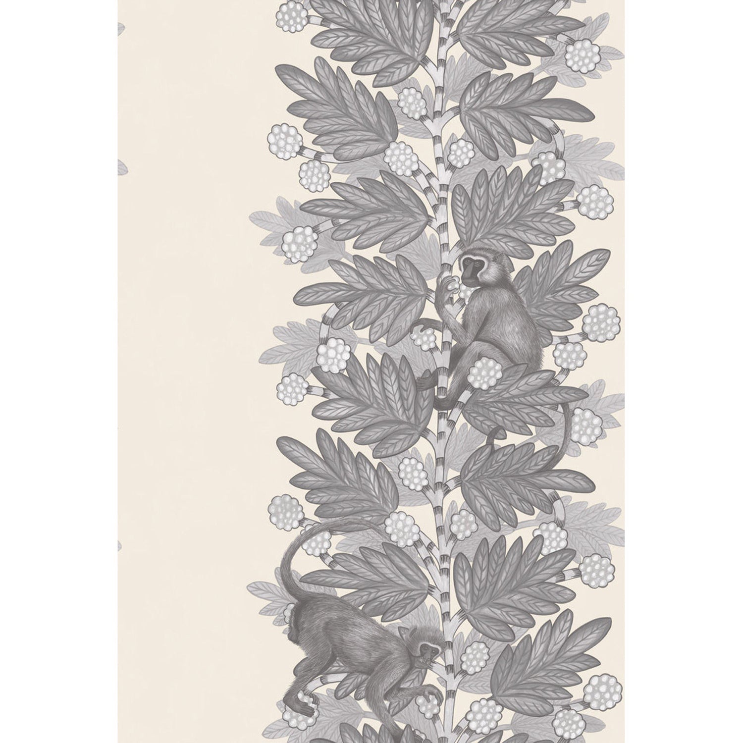 Cole & Son Ardmore Acacia Wallpaper