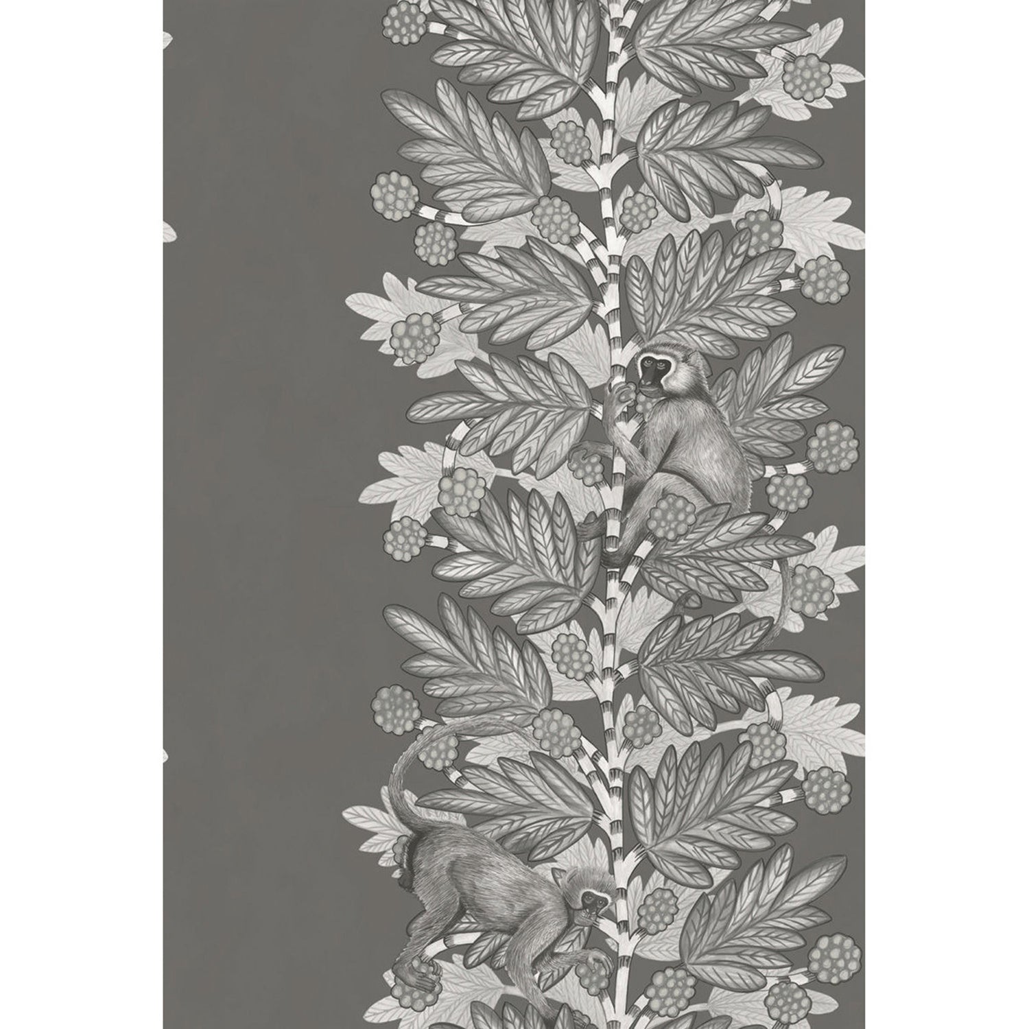 Cole & Son Ardmore Acacia Wallpaper