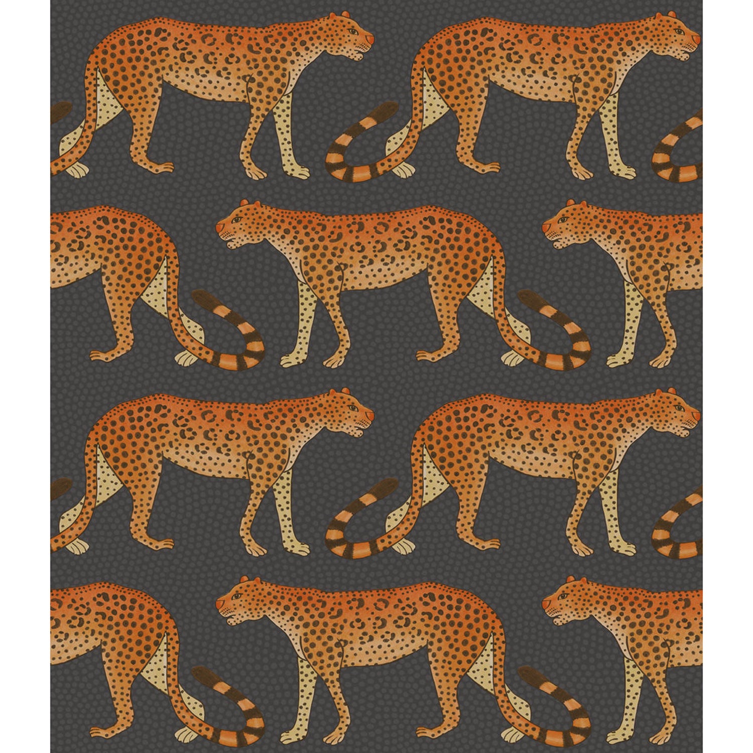 Cole & Son Ardmore Leopard Wallpaper