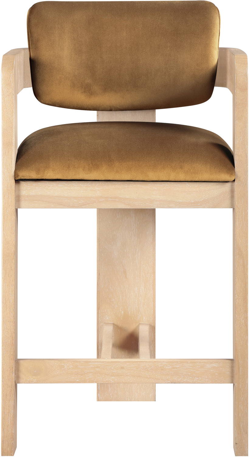 Sacha Saddle Velvet Upholstered Counter Stool Set of 2
