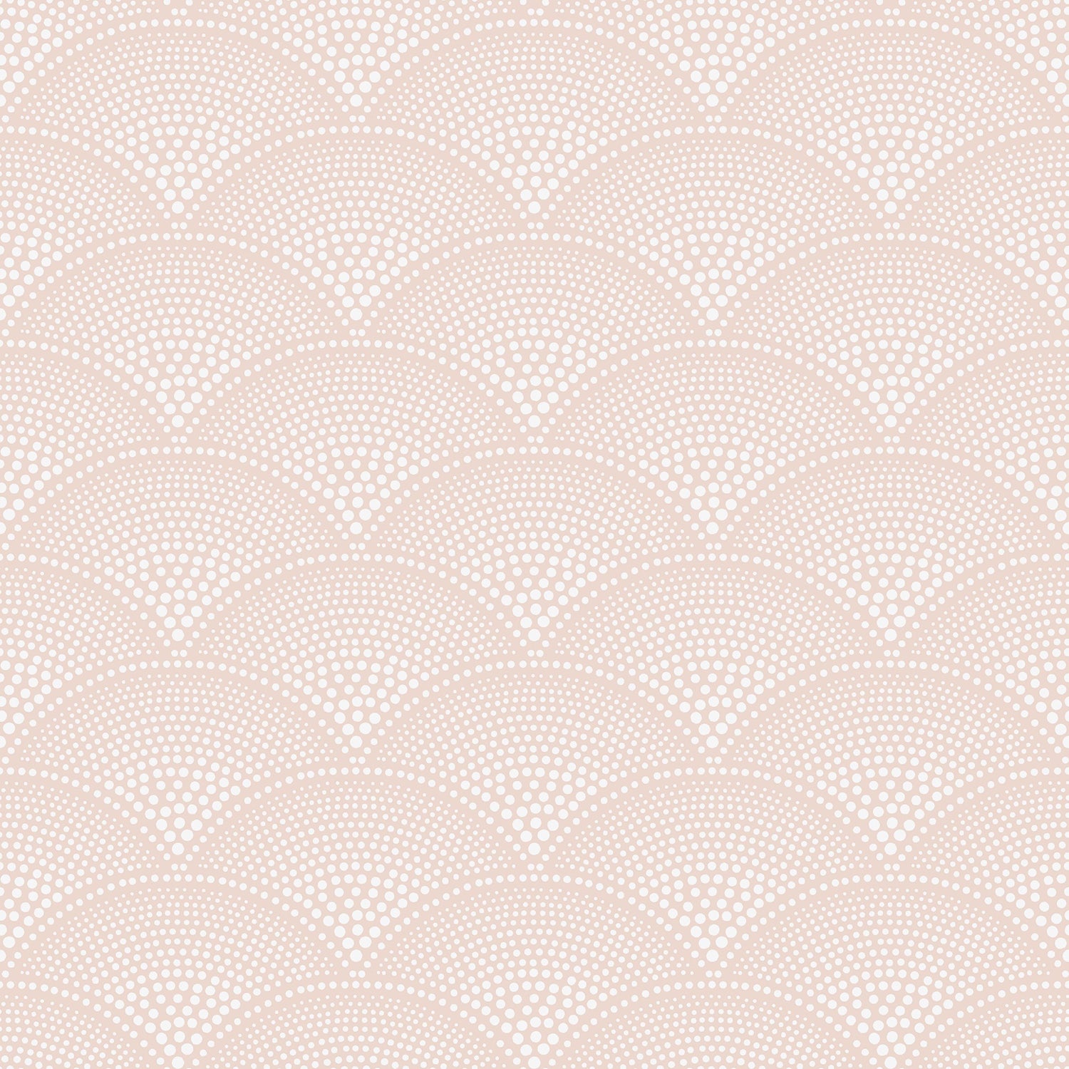 Cole & Son Icons Feather Fan Wallpaper