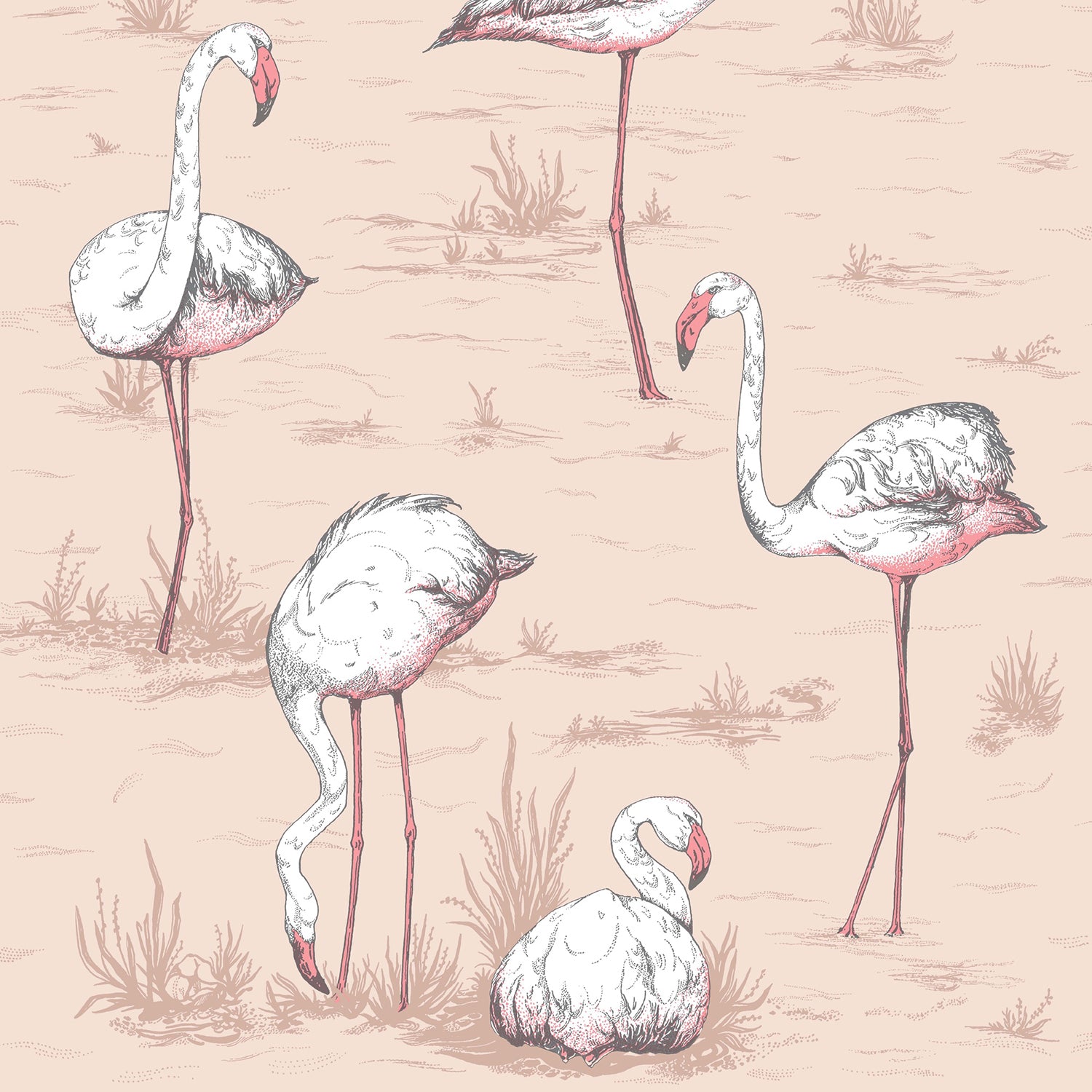 Cole & Son Icons Flamingos Wallpaper