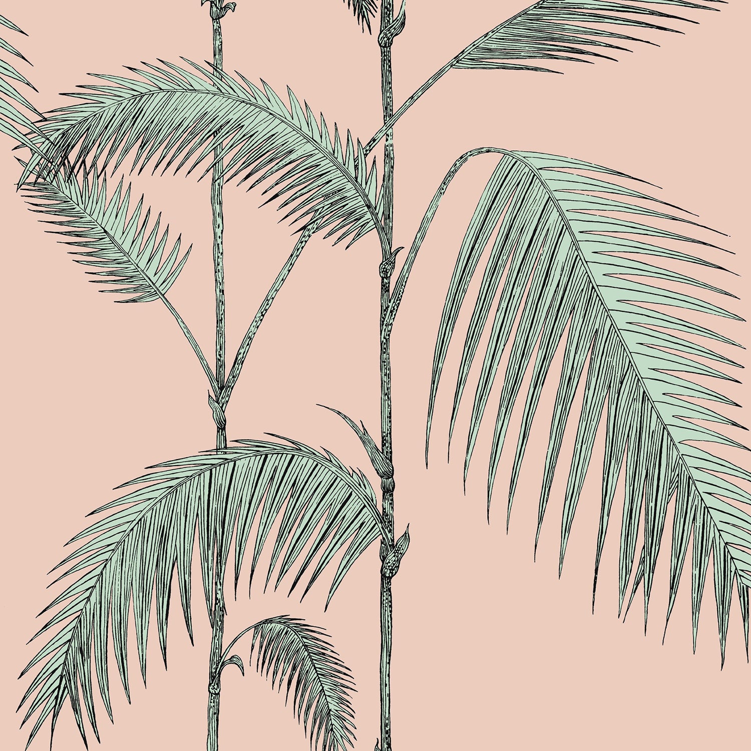 Cole & Son Icons Palm Leaves Wallpaper