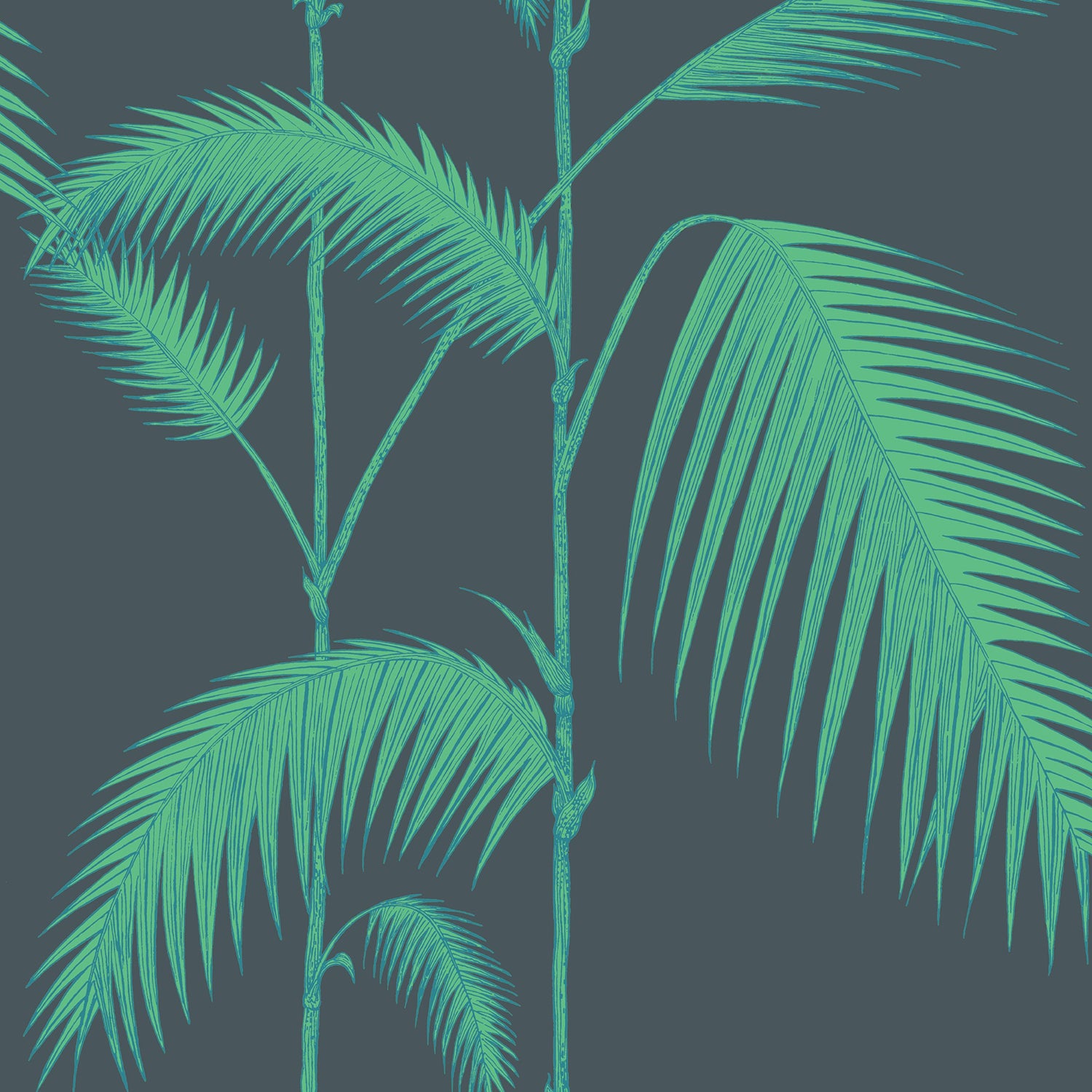 Cole & Son Icons Palm Leaves Wallpaper