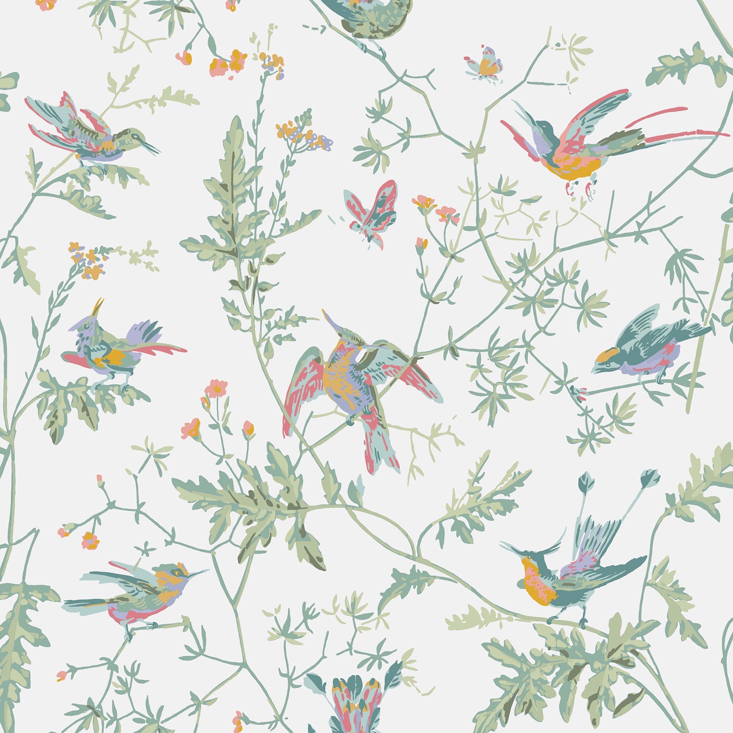 Cole & Son Selection of Hummingbirds Wallpaper