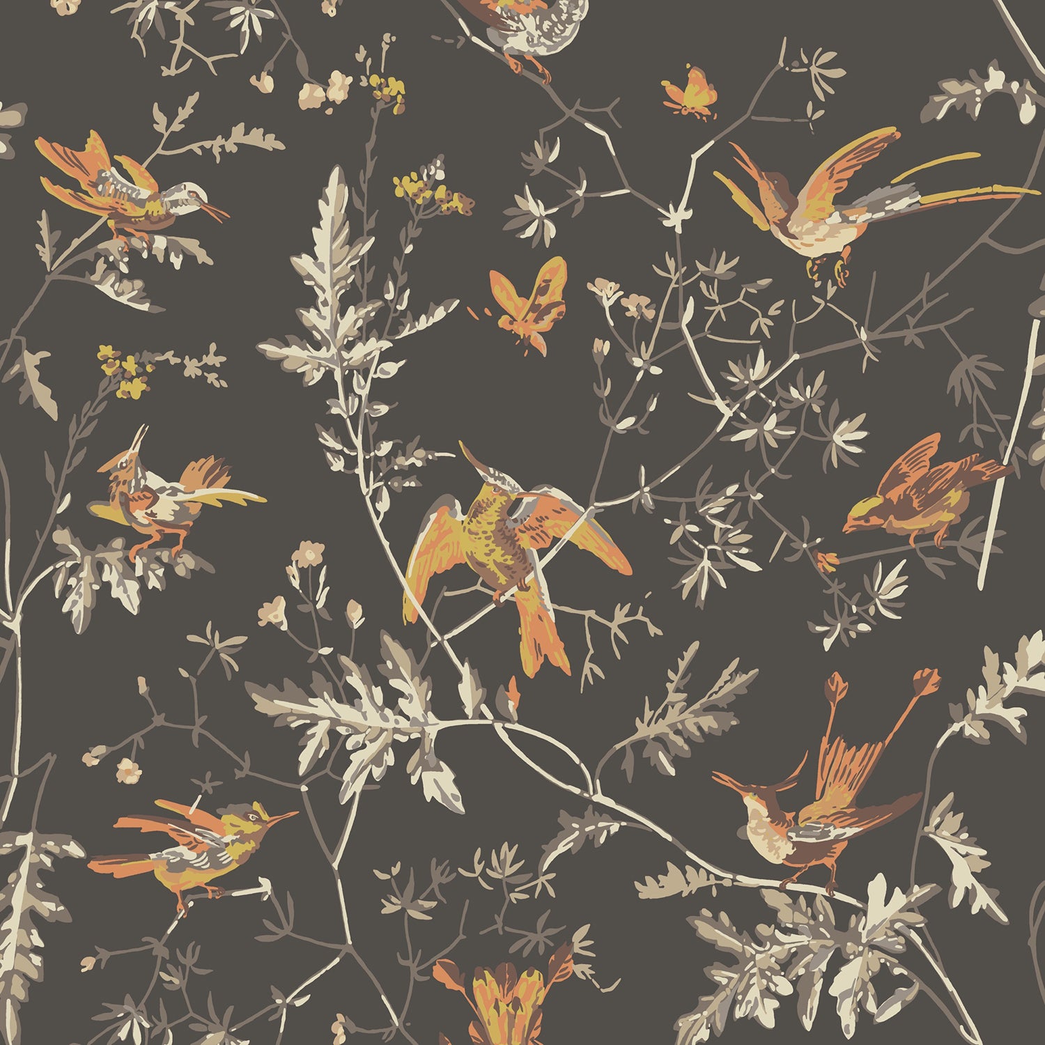 Cole & Son Selection of Hummingbirds Wallpaper