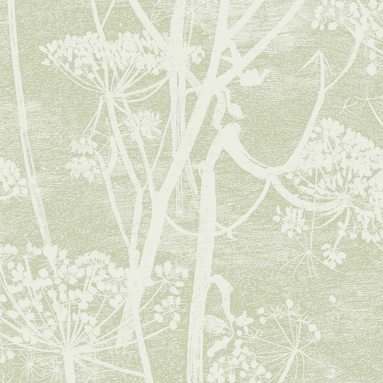 Cole & Son Icons Cow Parsley Wallpaper