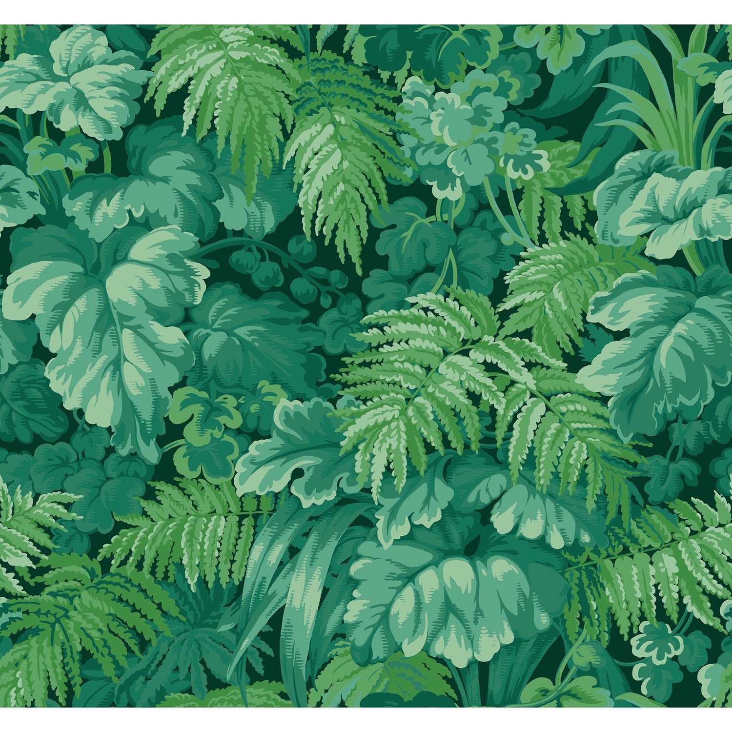 Cole & Son Royal Fernery Wallpaper