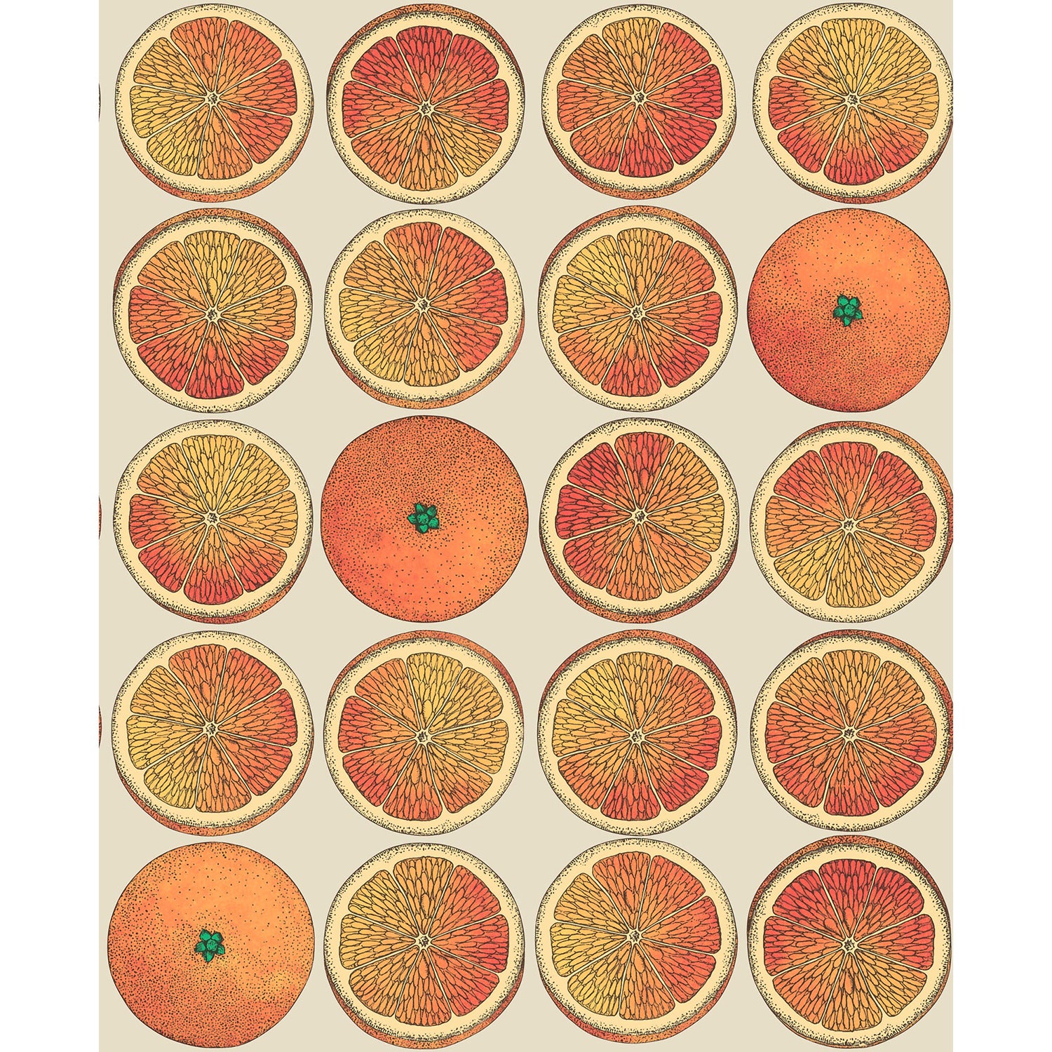 Cole & Son Fornasetti Senza Tempo Arance Wallpaper