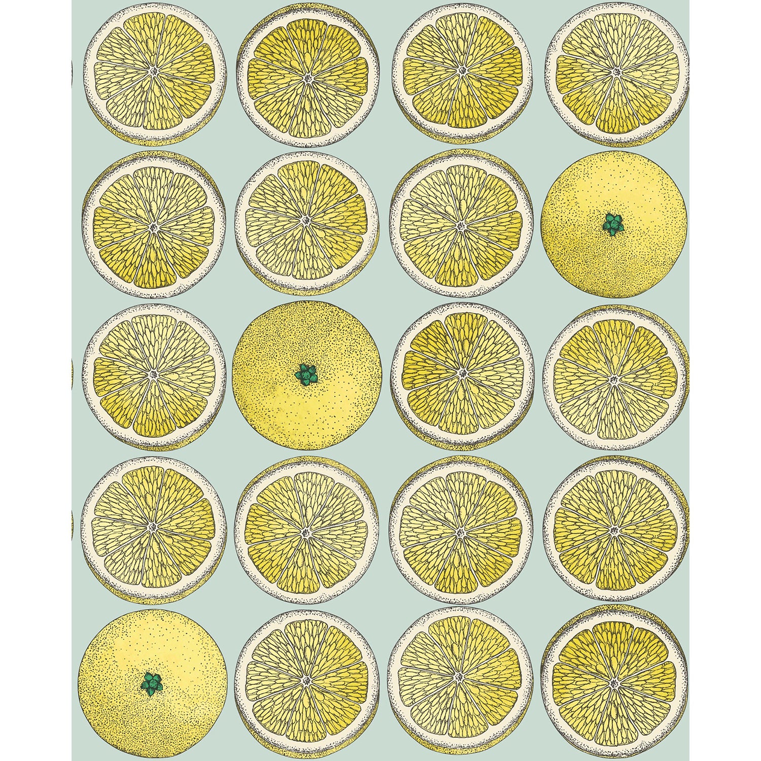 Cole & Son Fornasetti Senza Tempo Arance Wallpaper