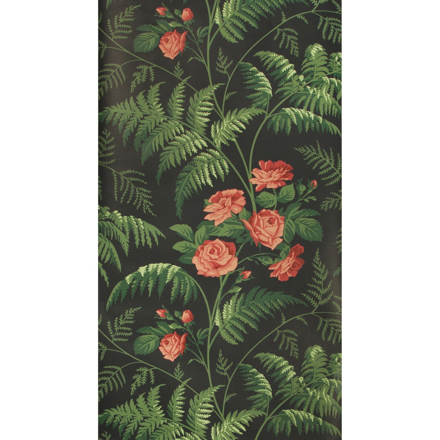 Cole & Son Botanical Botanica Rose Wallpaper