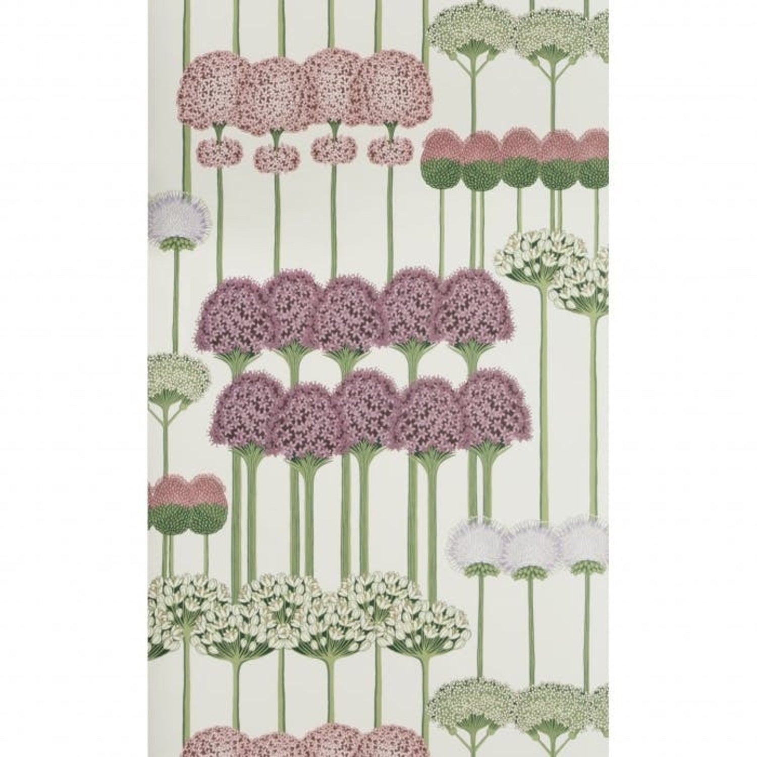 Cole & Son Botanical Botanica Allium Wallpaper