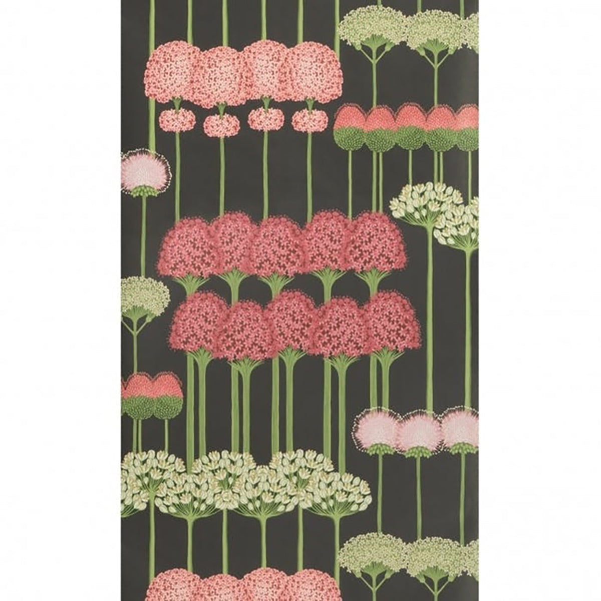 Cole & Son Botanical Botanica Allium Wallpaper
