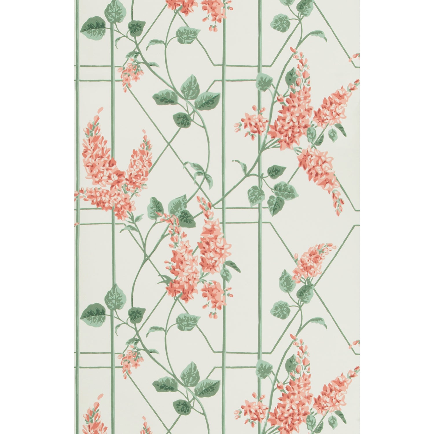 Cole & Son Botanical Botanica Wisteria Wallpaper