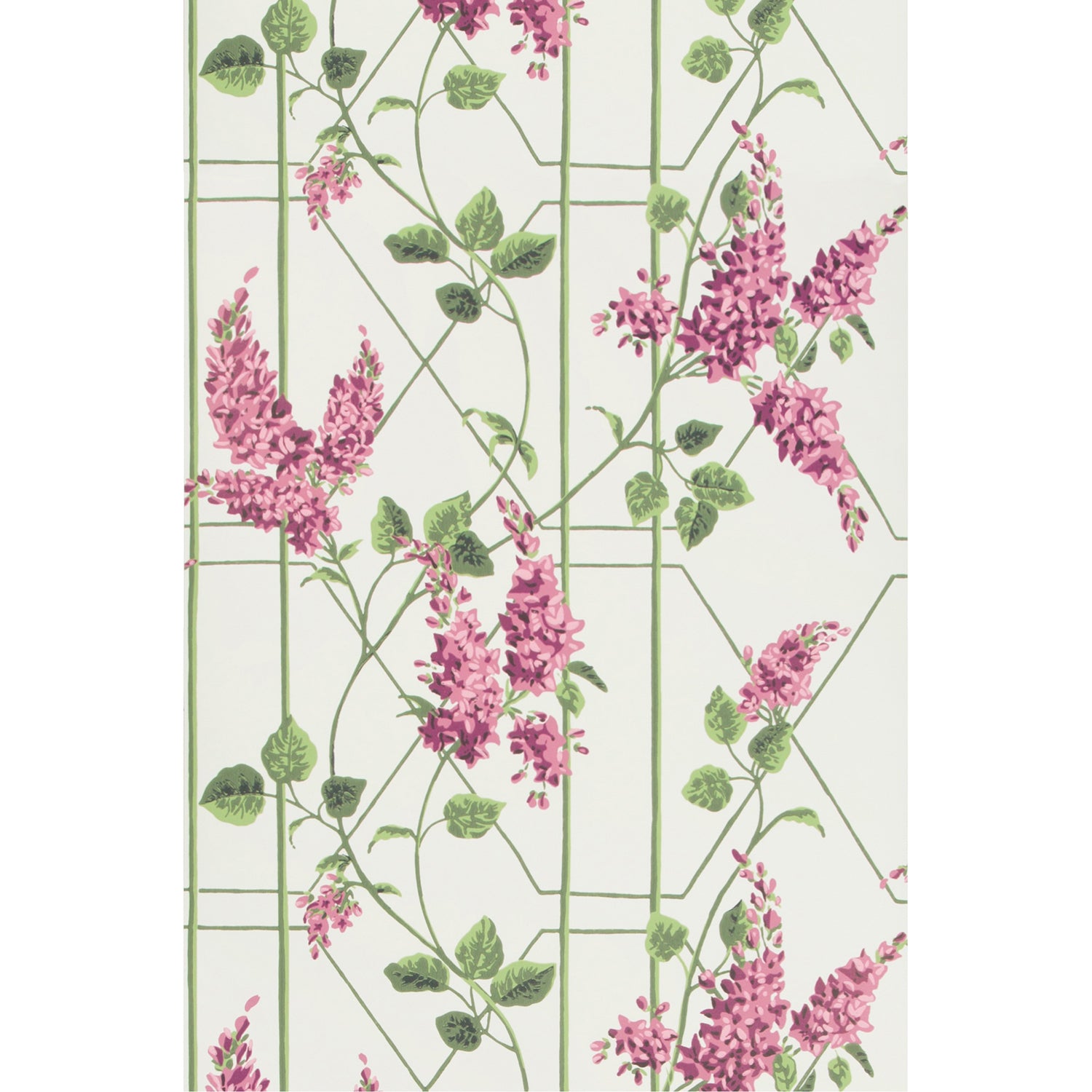 Cole & Son Botanical Botanica Wisteria Wallpaper