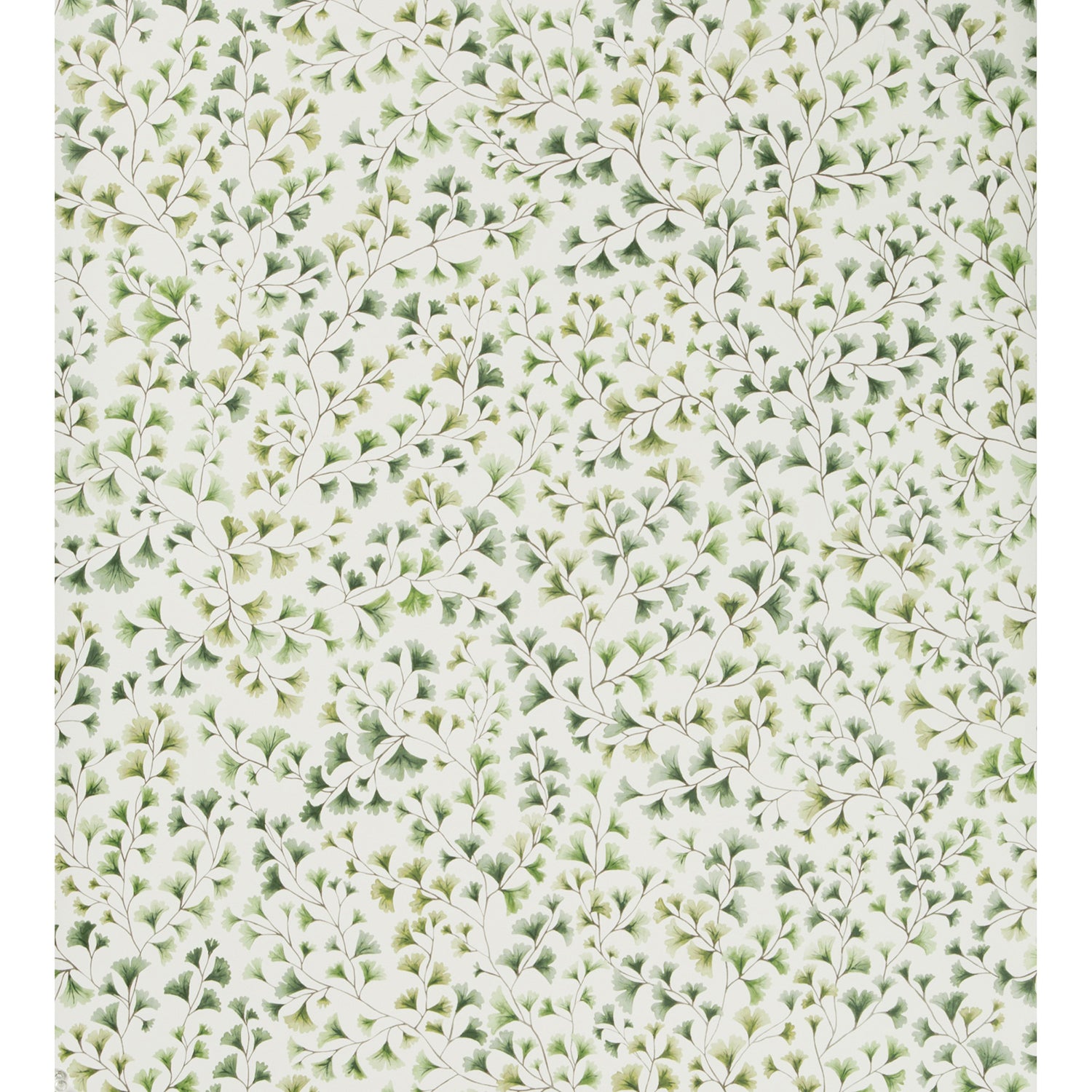 Cole & Son Botanical Botanica Maidenhair Wallpaper