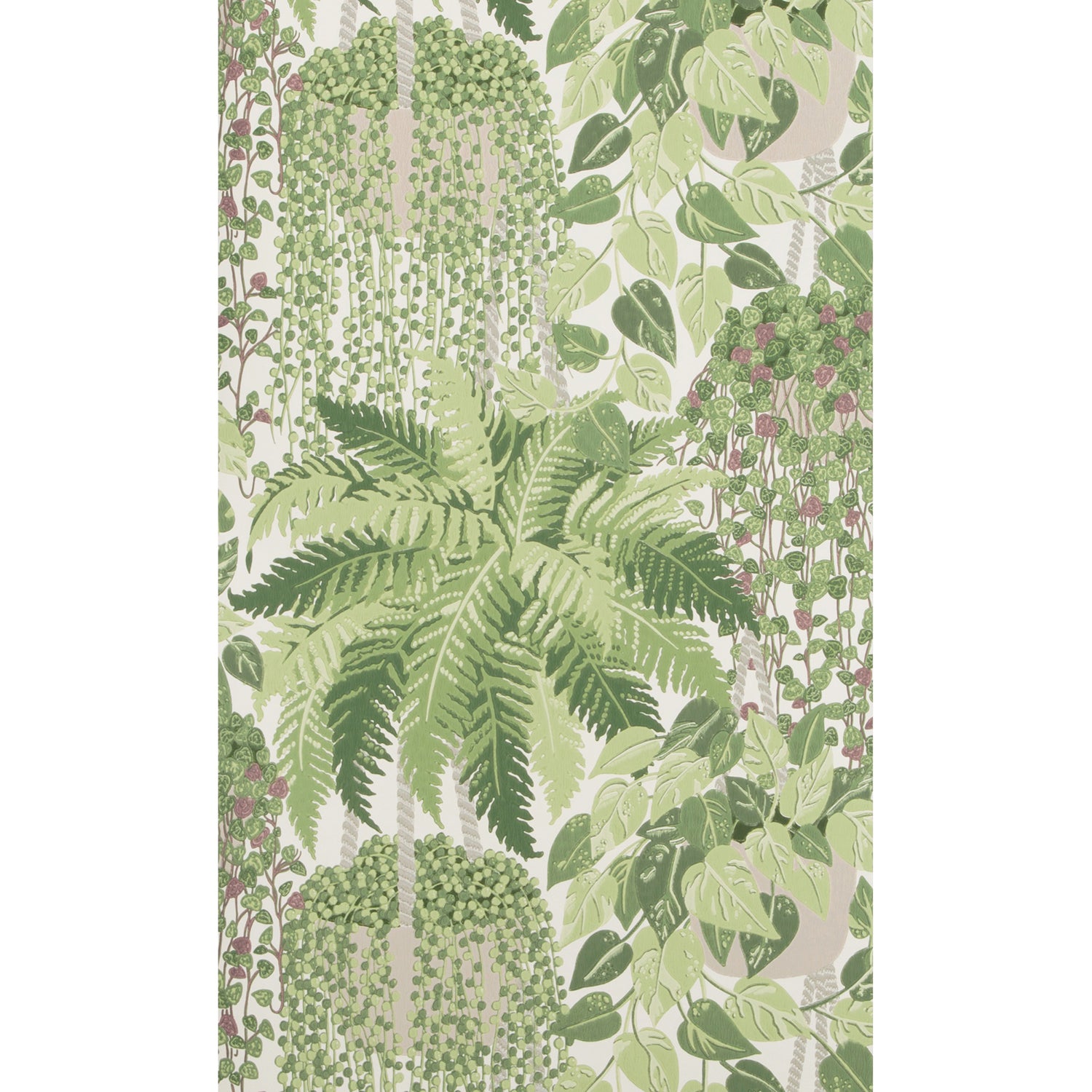 Cole & Son Botanical Botanica Fern Wallpaper