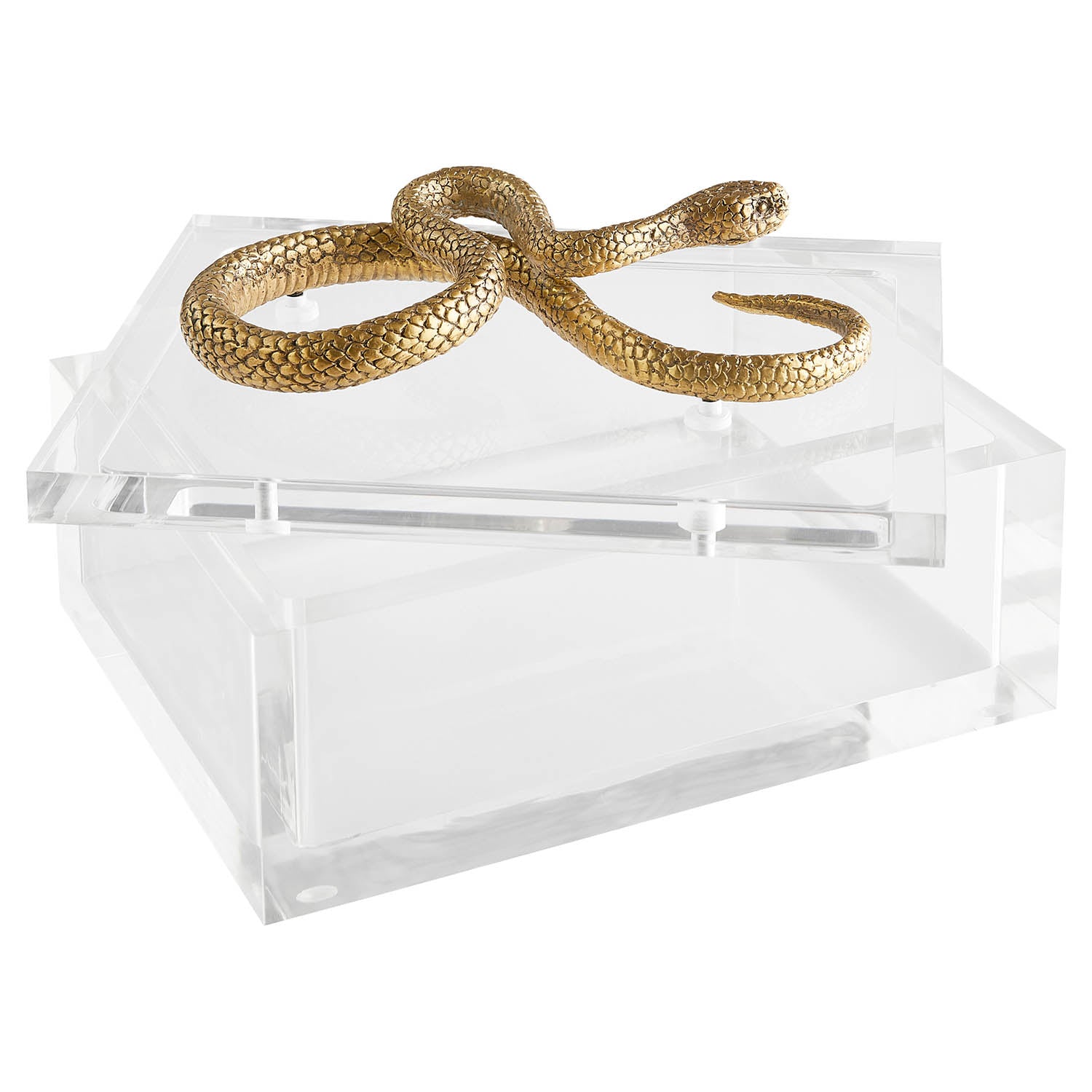 Cyan Design x Thom Filicia Snake Box