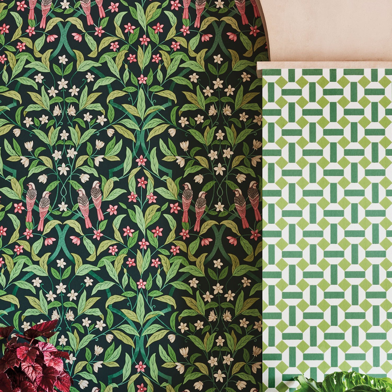 Cole & Son Seville Jasmine & Serin Symphony Wallpaper