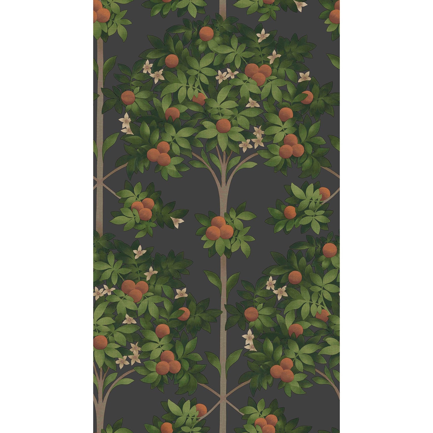 Cole & Son Seaville Orange Blossom Wallpaper