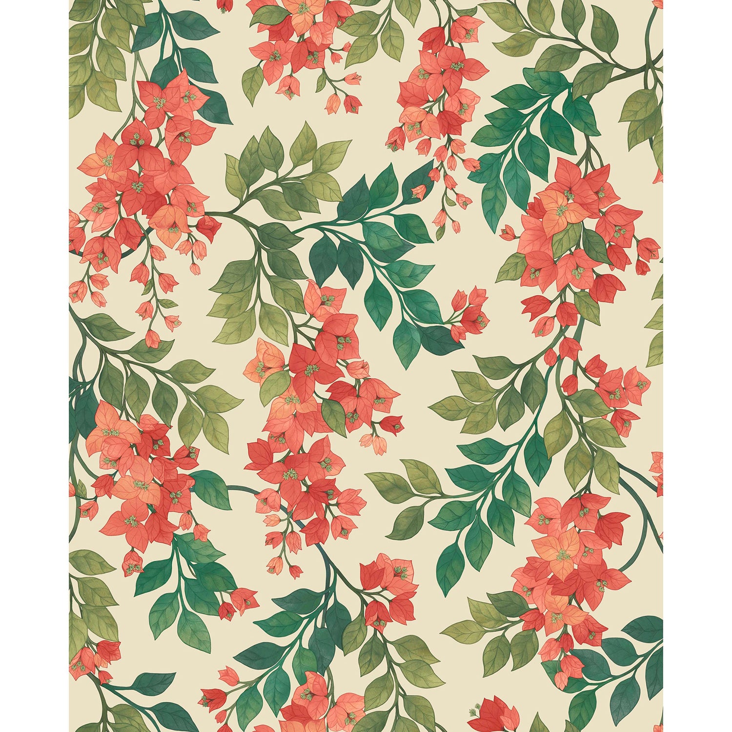 Cole & Son Seville Bougainvillea Wallpaper