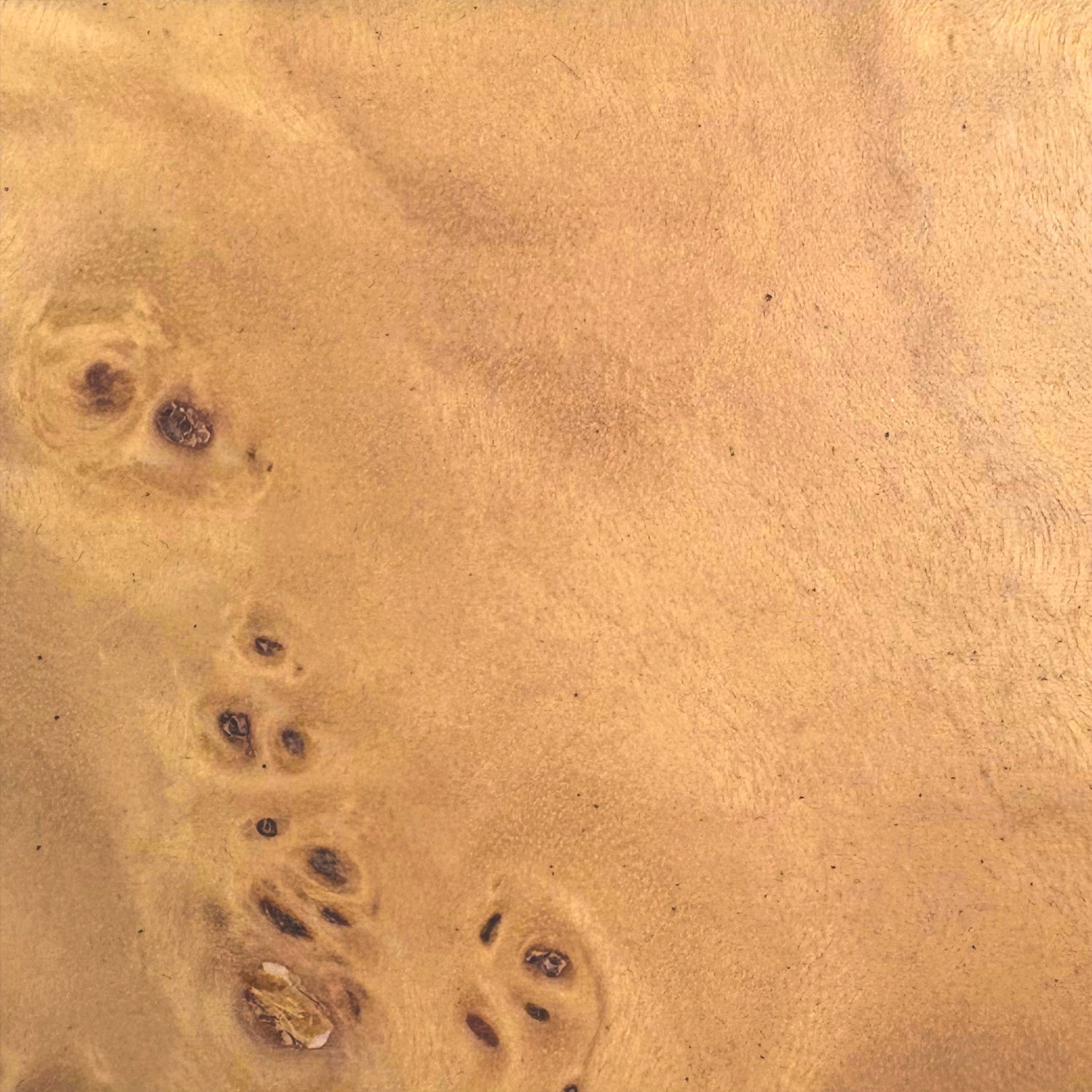 Interlude Home Rayne Canyon Drink Table, close-up of the canyon burl grain