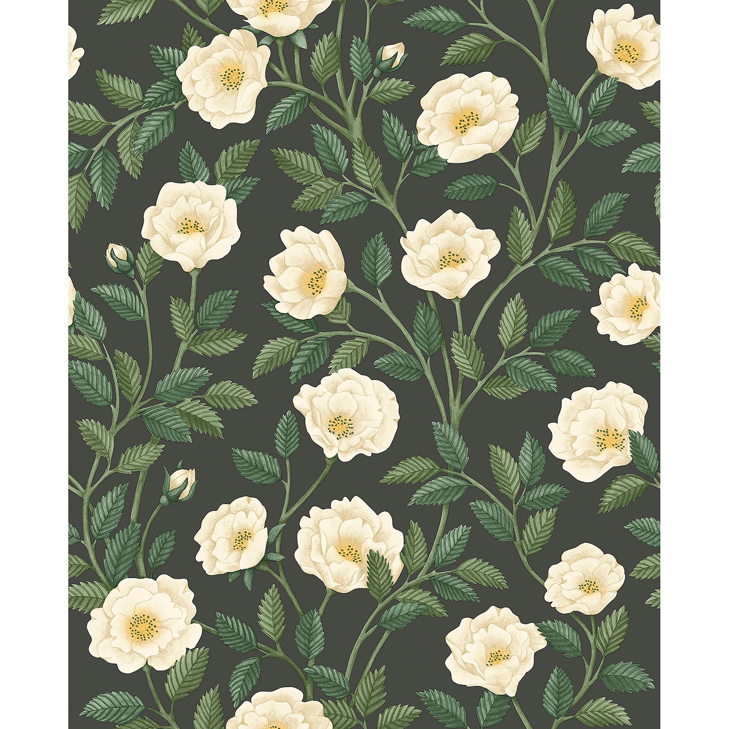Cole & Son Historic Royal Palaces Great Masters Hampton Roses Wallpaper