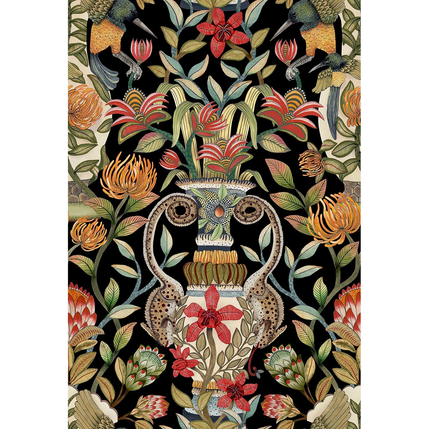 Cole & Son Ardmore Jabula Protea Garden Wallpaper