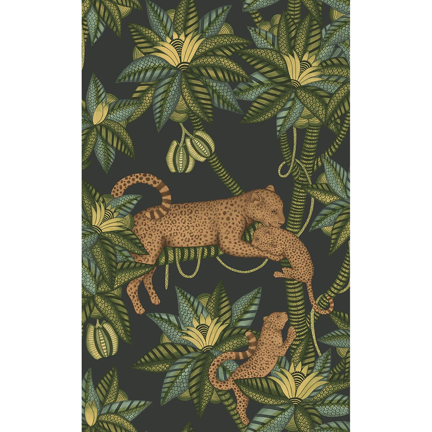 Cole & Son Ardmore Jabula Satara Wallpaper