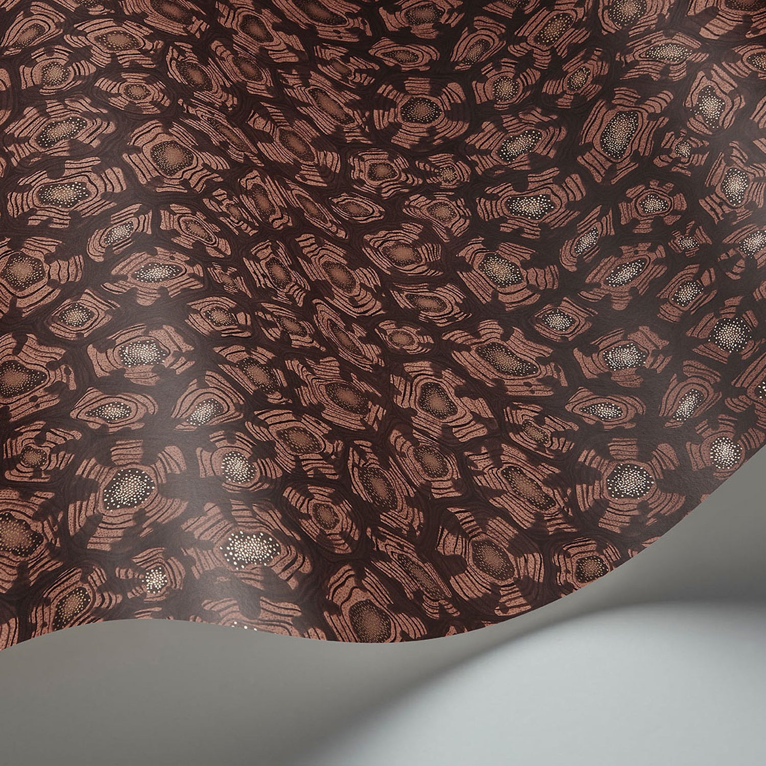 Cole & Son Ardmore Jabula Savanna Shell Wallpaper