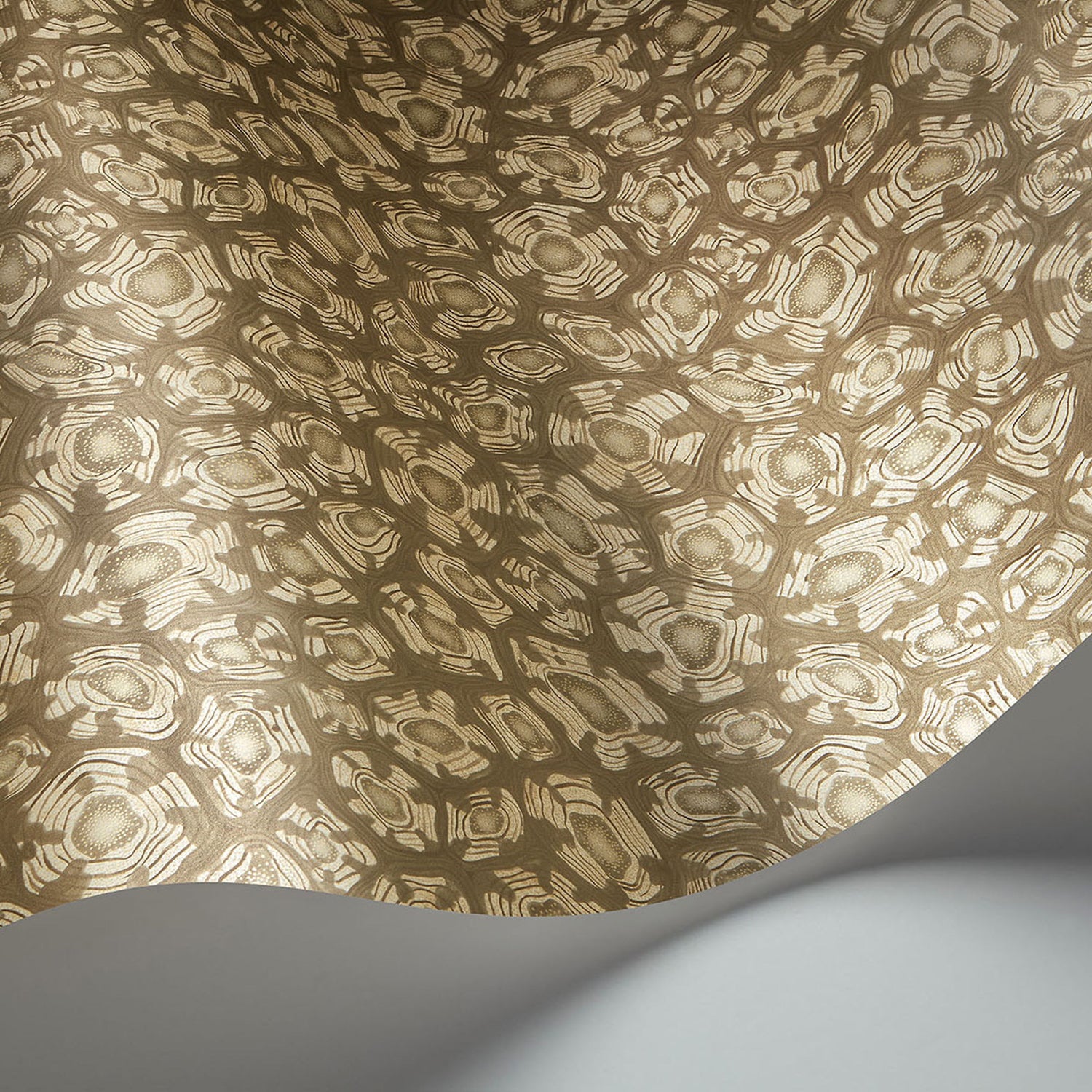 Cole & Son Ardmore Jabula Savanna Shell Wallpaper