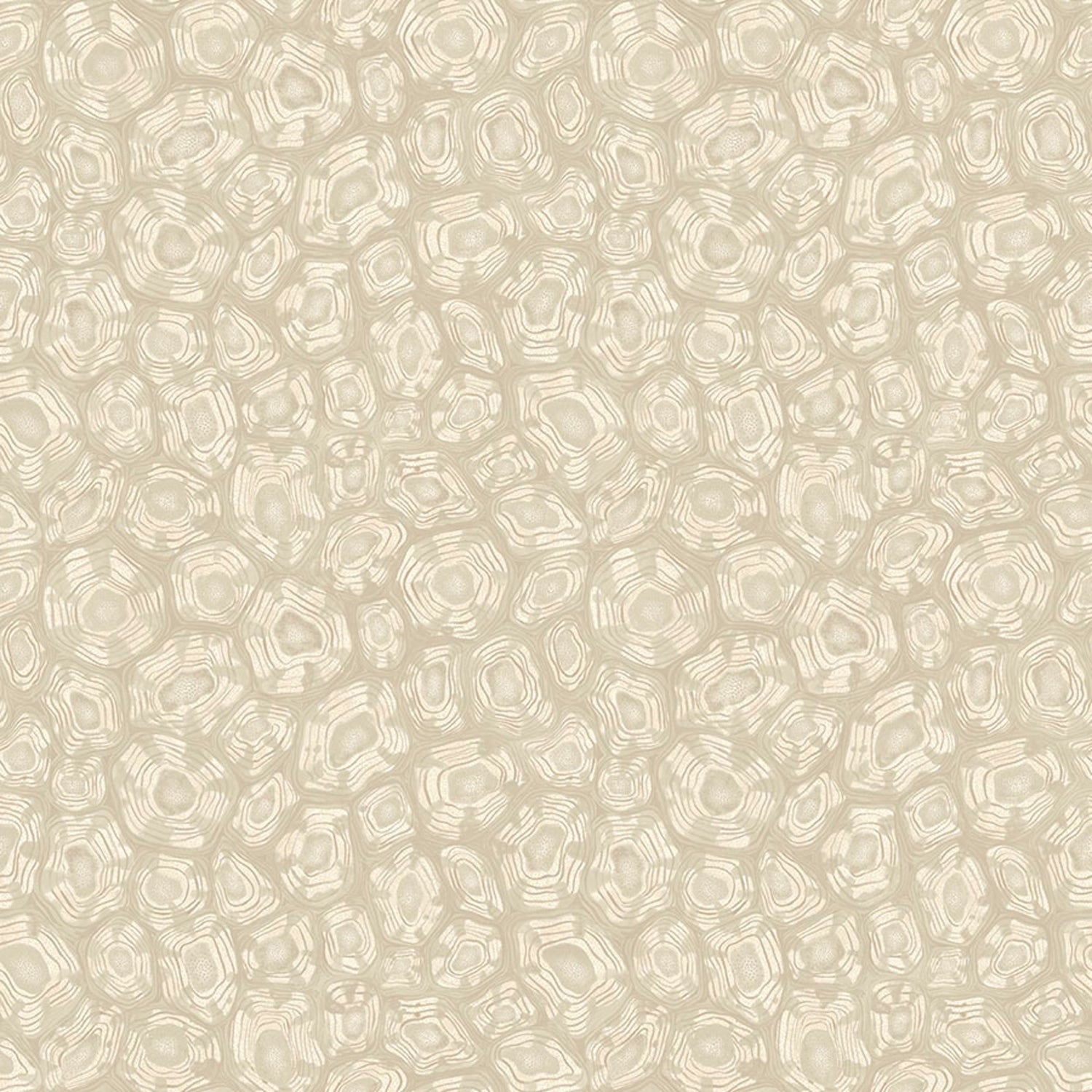 Cole & Son Ardmore Jabula Savanna Shell Wallpaper